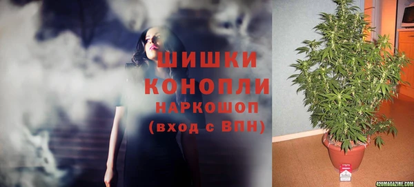 твердый Горняк