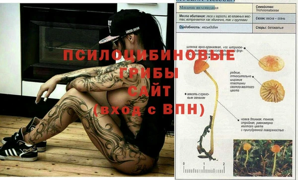 марки nbome Горнозаводск