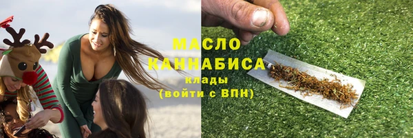 твердый Горняк