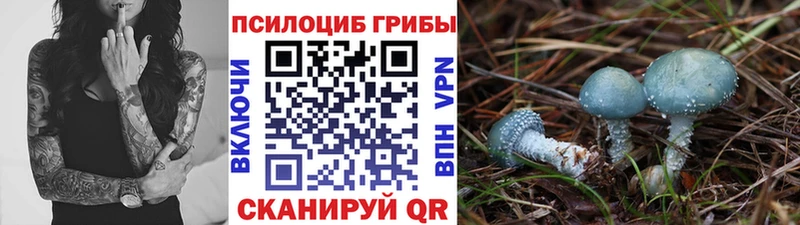 Галлюциногенные грибы мухоморы  Тбилисская 